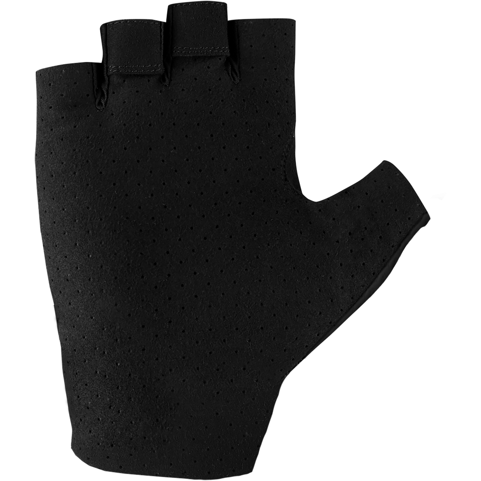 LEKI World Cup Race グローブ 2フィンガー 8.5サイズ TECH-1 K RACE v2 GRAPH GLOVES｜Japan official｜alpinestars