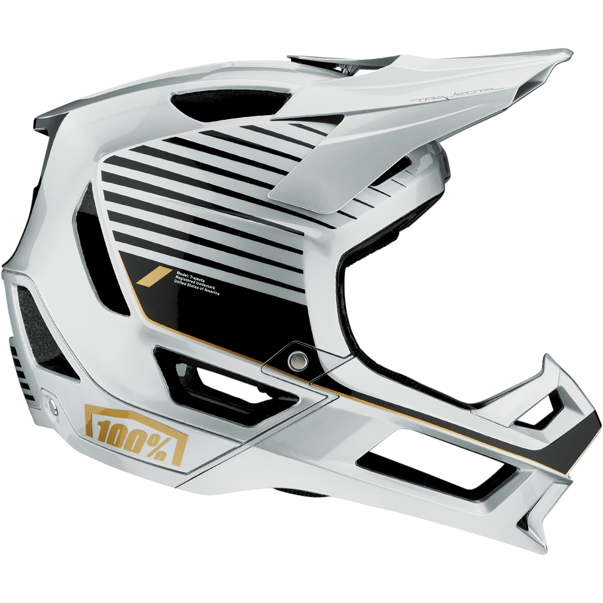 Image de 100% Casque - Trajecta Fidlock - Ranelagh Silver