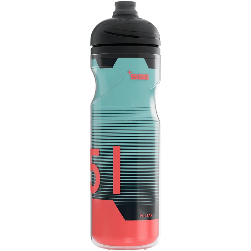 Foto de SIGG Botella Térmica - Pulsar Therm 0.65L - Frost