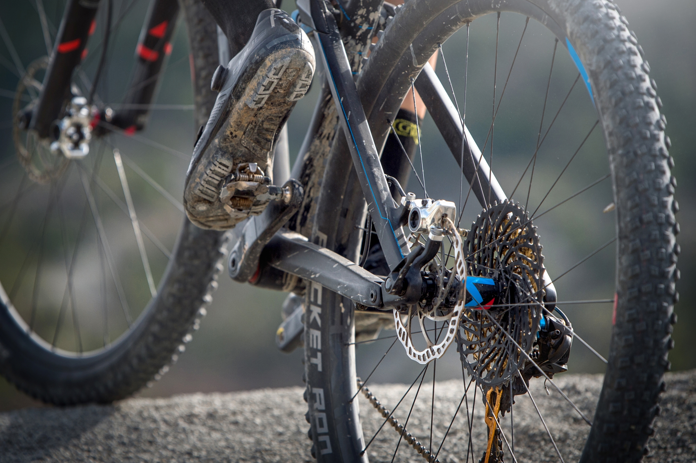 Heckansicht einer Fahrrad-Scheibenbremse von Magura am Mountainbike