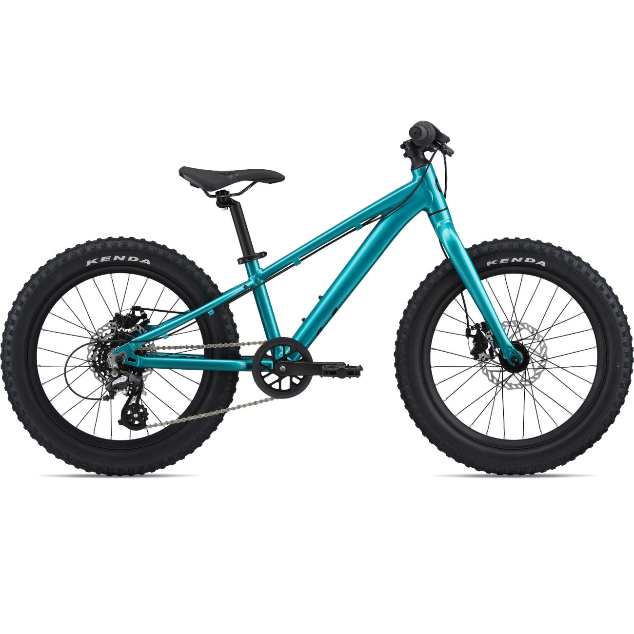 Picture of Liv STP 20&quot; Kids Mountainbike - 2024 - teal