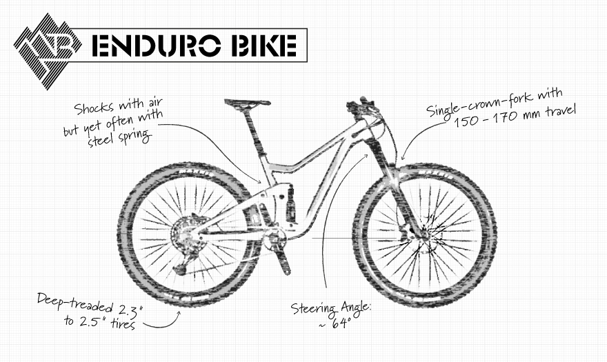 Infografica della bici da enduro
