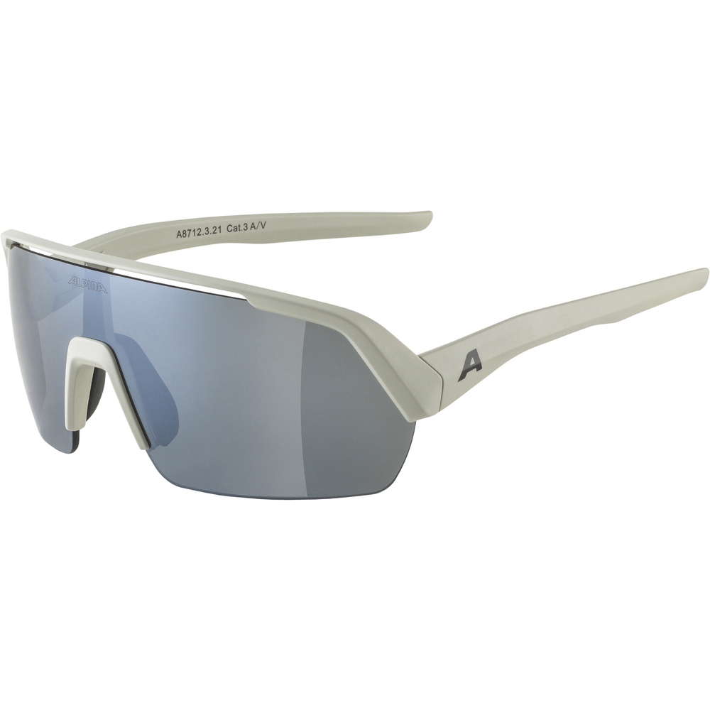 Image of Alpina Turbo HR Glasses - cool-grey matt / black mirror