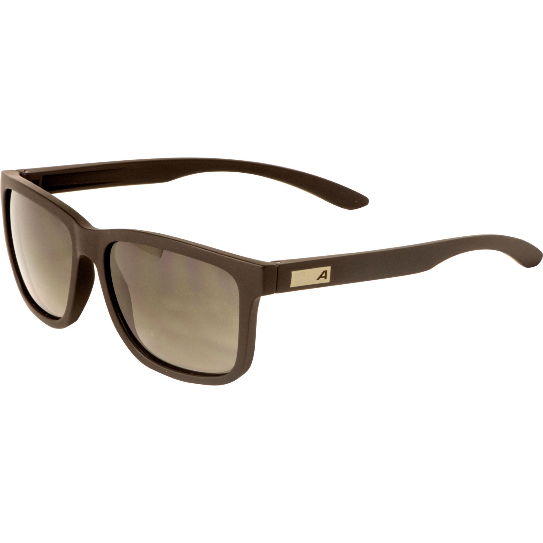 Produktbild von Alpina Burst Brille - brown matt/brown