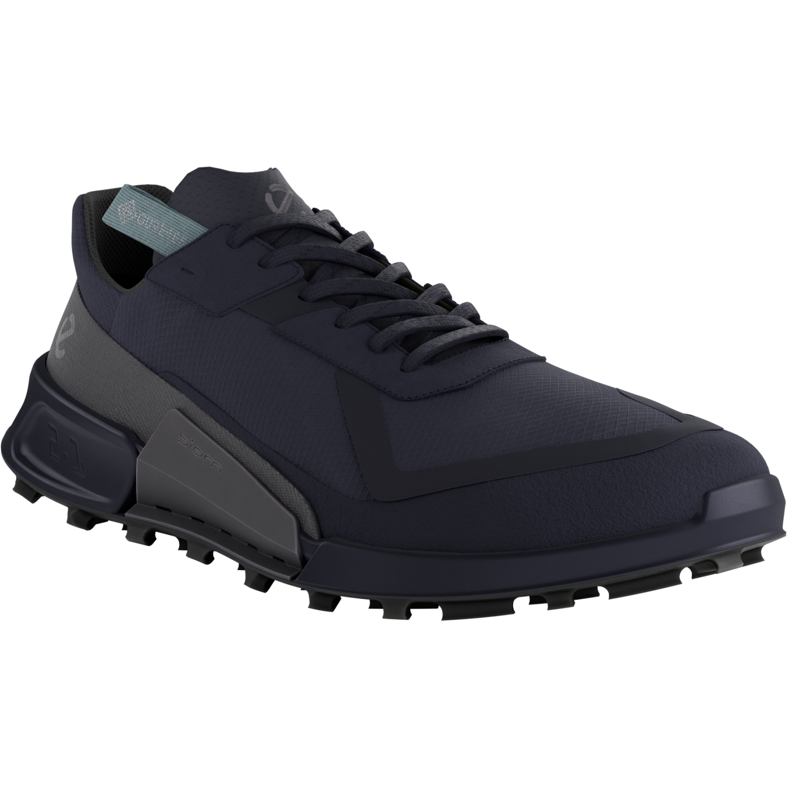 Foto de Ecco Zapatillas Senderismo Hombre - Biom 2.1 X Country Low GTX - Night Sky/Magnet