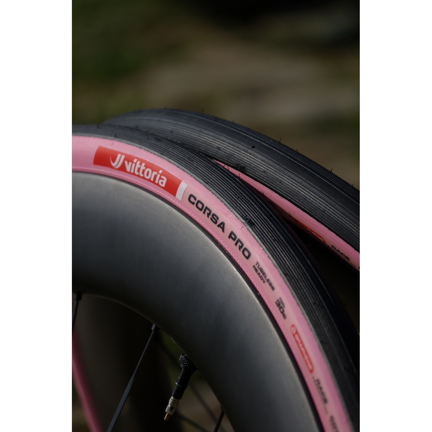 Vittoria Corsa Pro - TLR - Folding Tire - 28-622 | pink - Limited