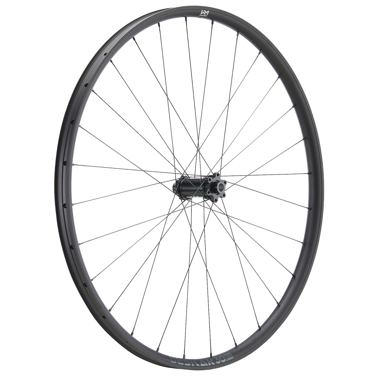 Produktbild von Newmen Beskar 30 Trail Vorderrad - 29&quot; | Aluminium | Clincher | 6-Loch - 15x110mm