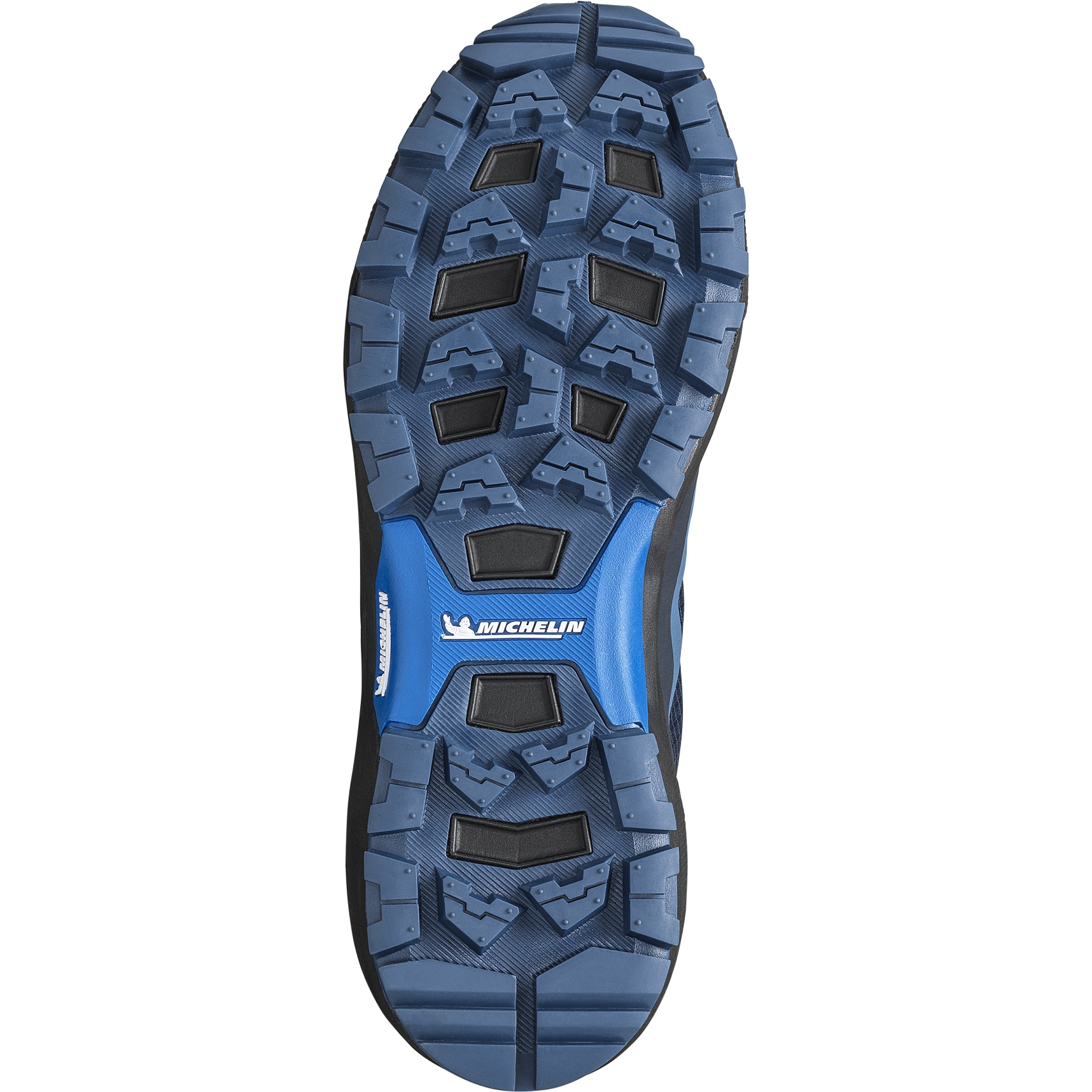 ☆millet☆ erosion control, cover crop, companion crop, legumes