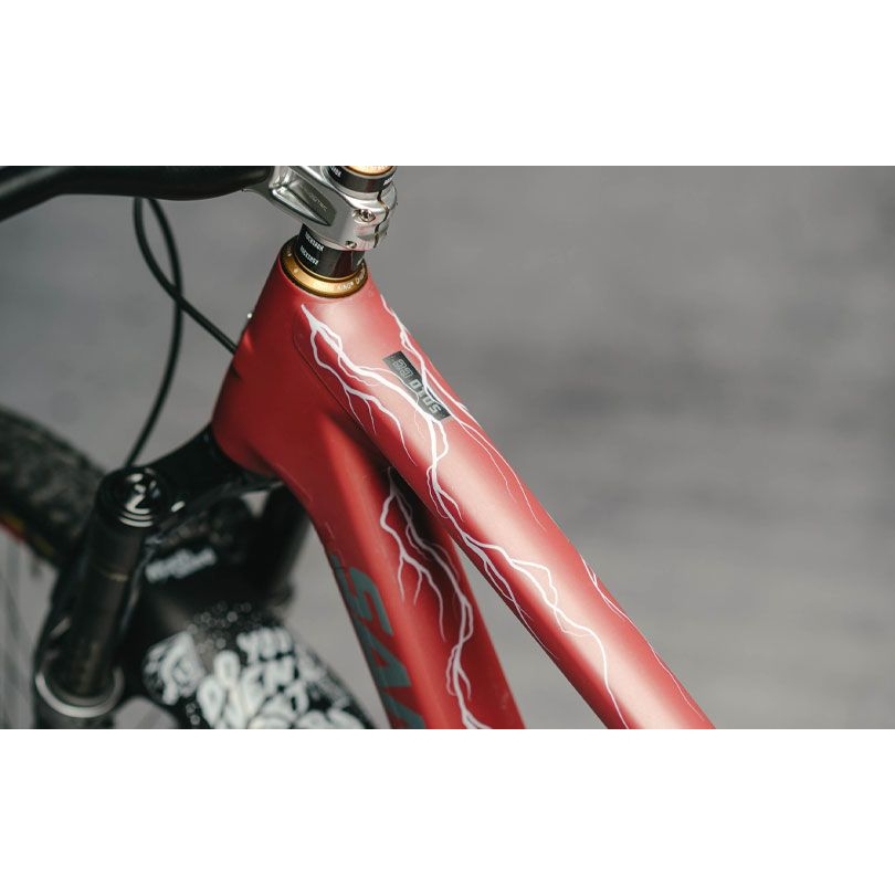 Photo produit de DYEDBRO Film Protection du Cadre - Lightning - pink matte