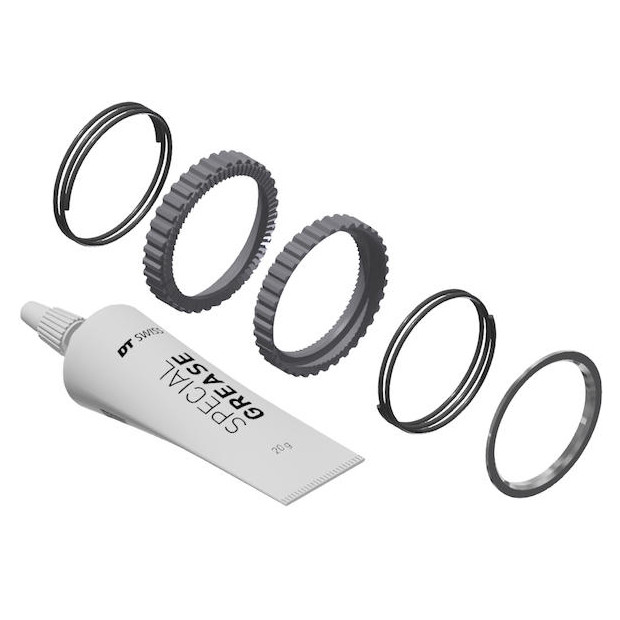Image of DT Swiss Service Kit for Ratchet DEG Hubs to 72 Engagement Points - HWYXXX00N6599S