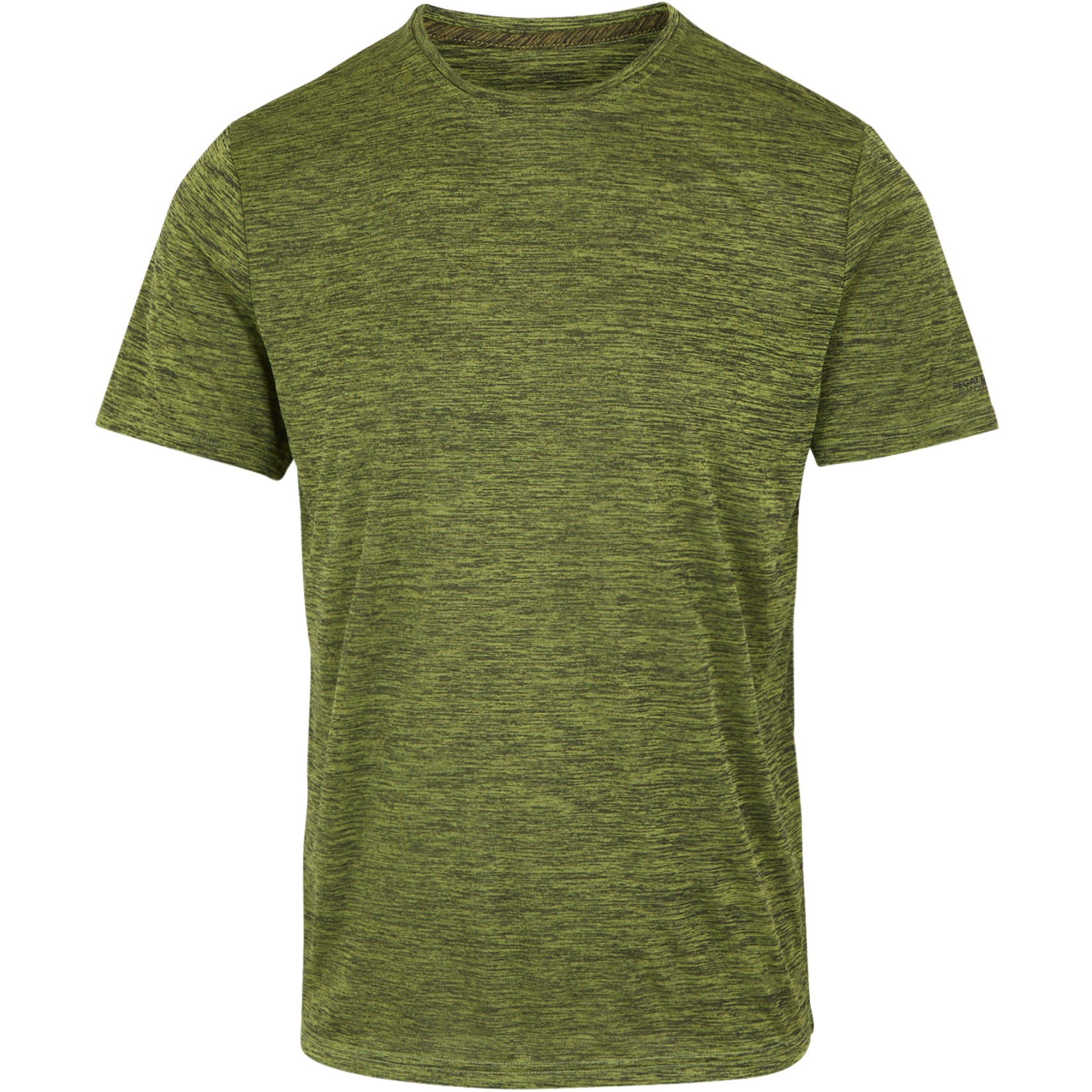 Picture of Regatta Fingal Edition T-Shirt Men - Grenoble Green 4EH