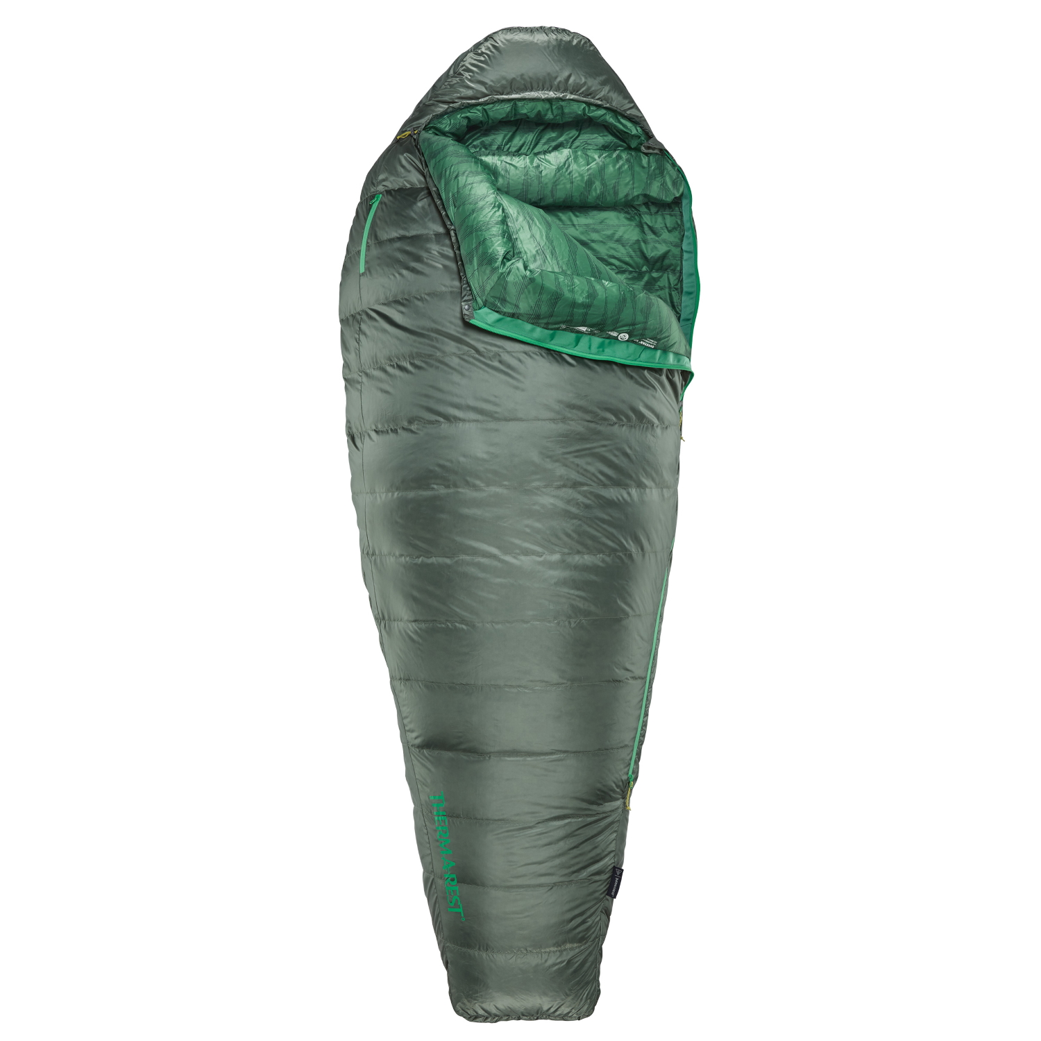 Image of Therm-a-Rest Questar 32F/0C S Down Sleeping Bag - Balsam