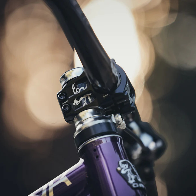 CHROMAG RIZA Stem - 31.8mm | 1 1/8