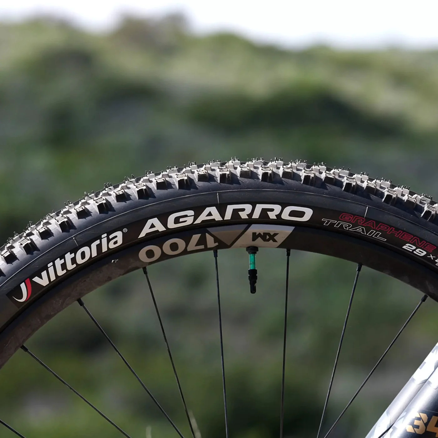Vittoria Agarro Trail - Folding Tire - 29x2.60\
