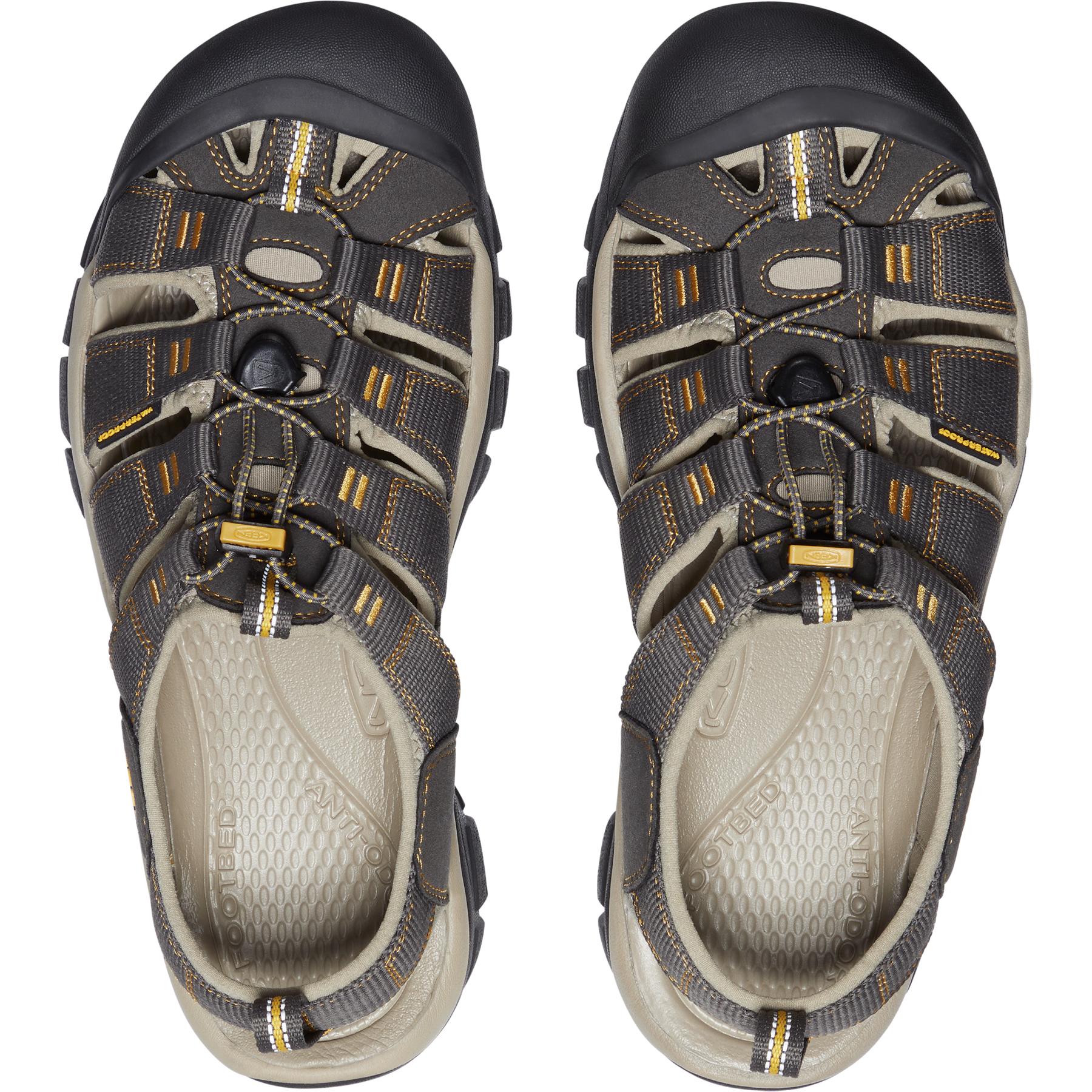 KEEN Newport H2 Sandals Men - Raven/Aluminum | BIKE24