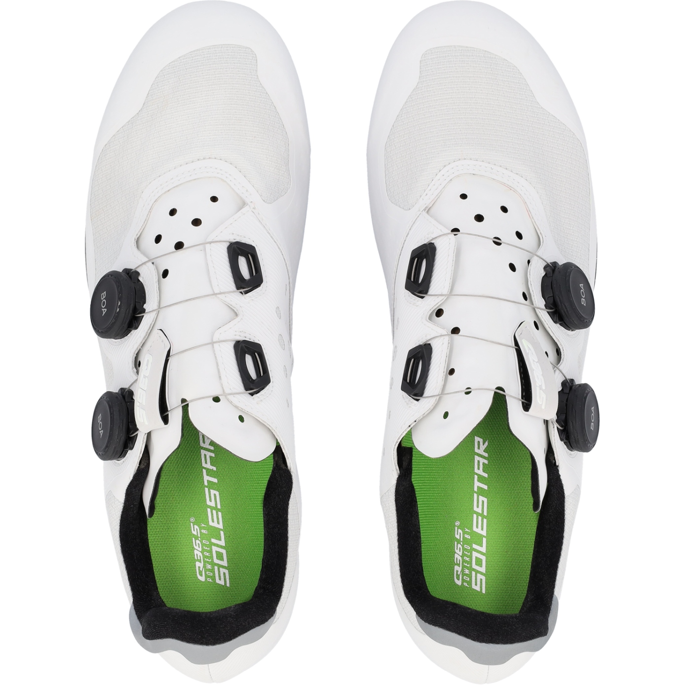 Q36.5 Gregarius Road Shoes - white | BIKE24