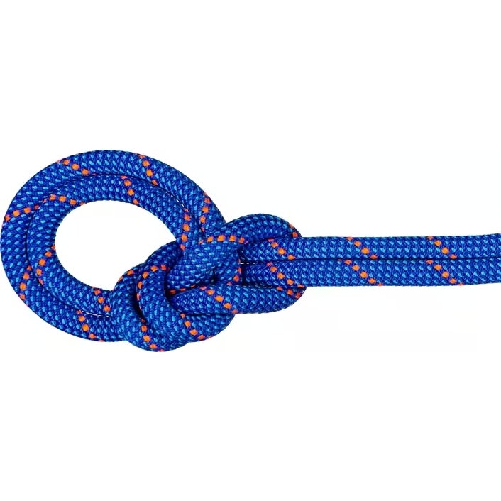 Picture of Mammut 9.5 Crag Dry Climbing Rope - 70 m - blue-ocean