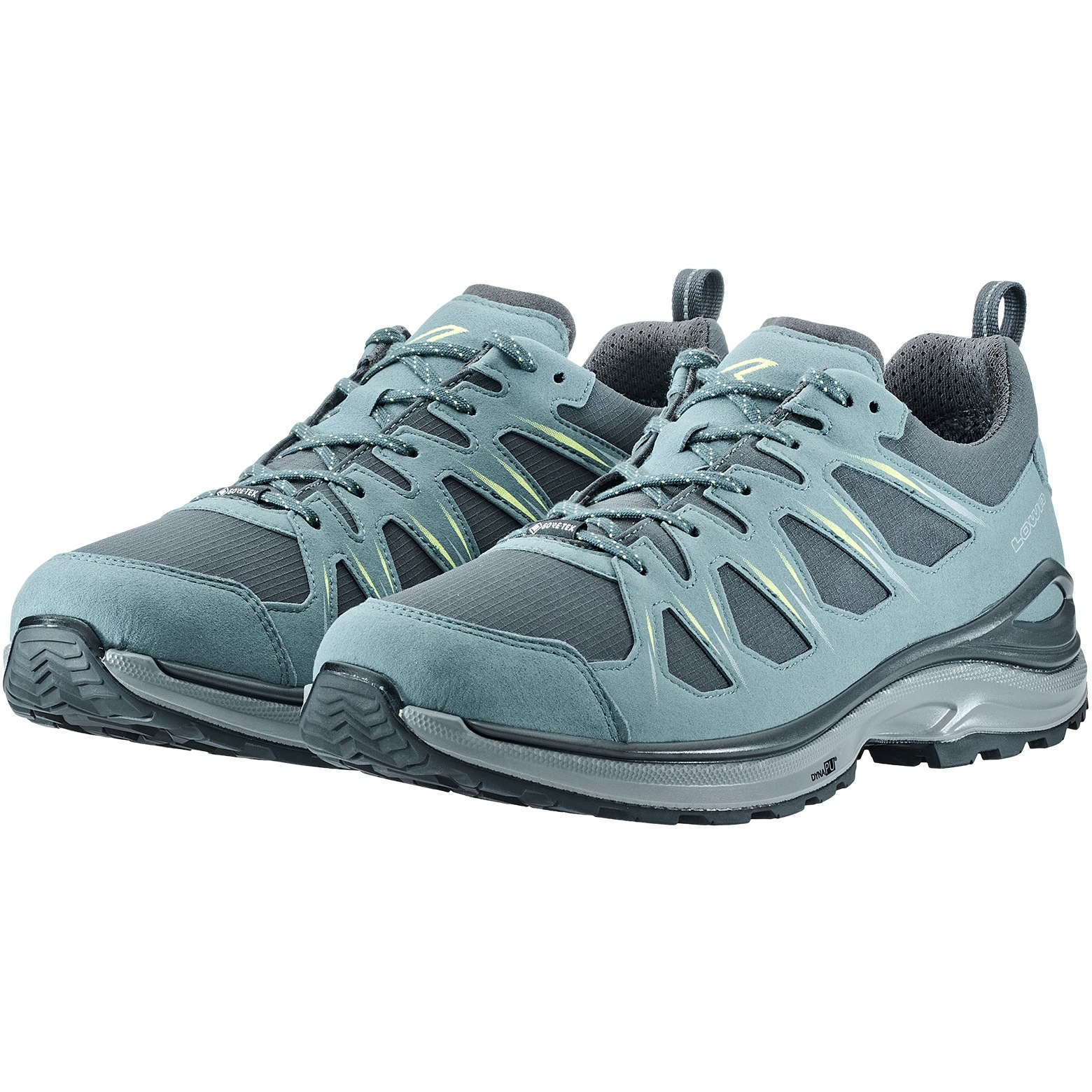 lowa innox evo gtx low