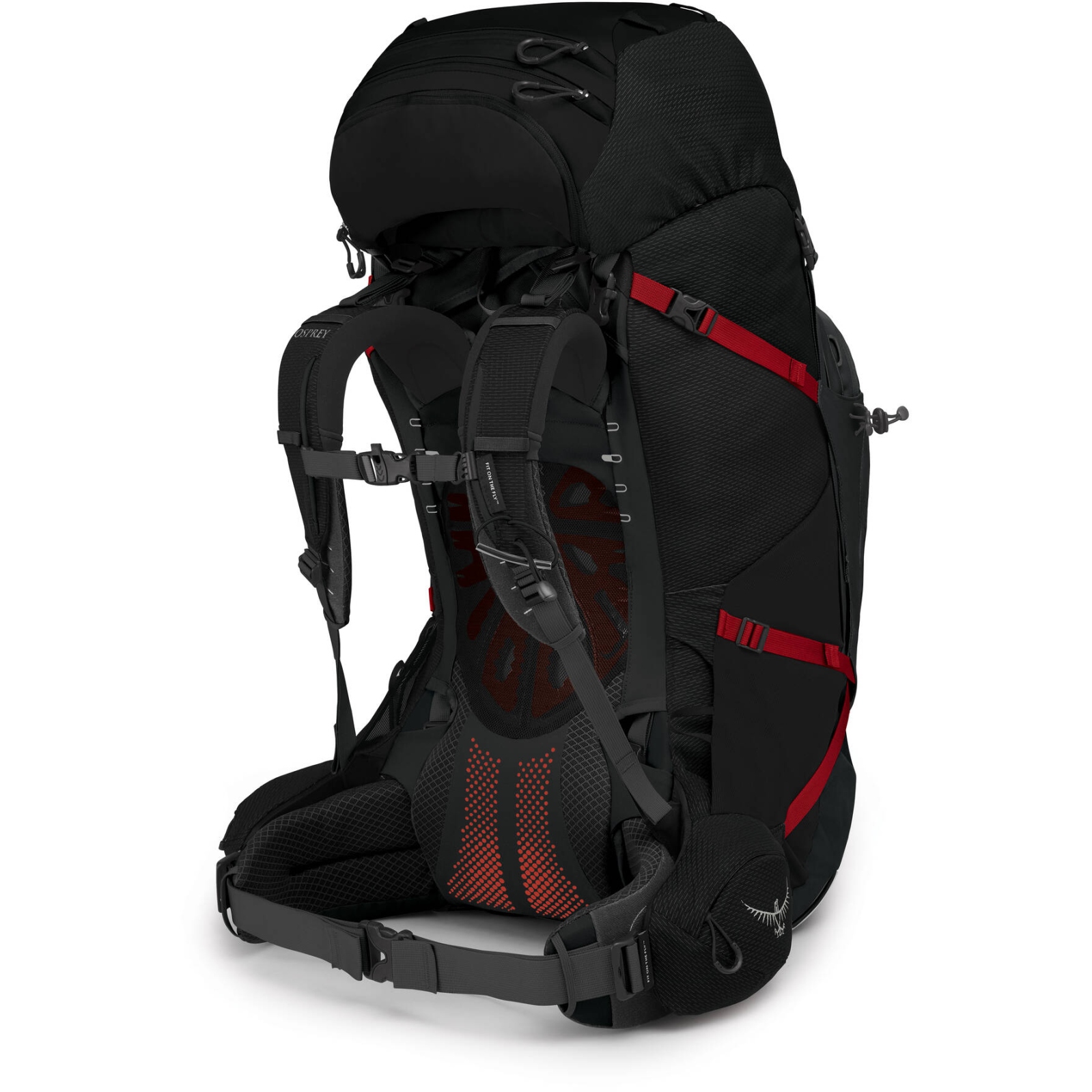 Osprey aether 85 ag hot sale pack