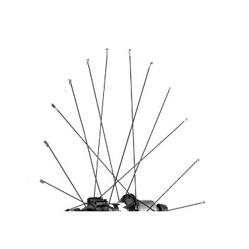 Picture of Mavic Spokes 293mm for Crossroc 29&quot; Rear Wheels - Drive Side (12 Pieces) - 36689601 - black
