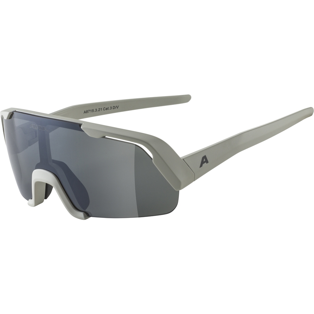 Image of Alpina Rocket Youth Glasses - cool-grey matt / black mirror
