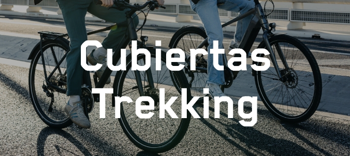 Dos bicicletas trekking en una carretera con cubiertas Schwalbe