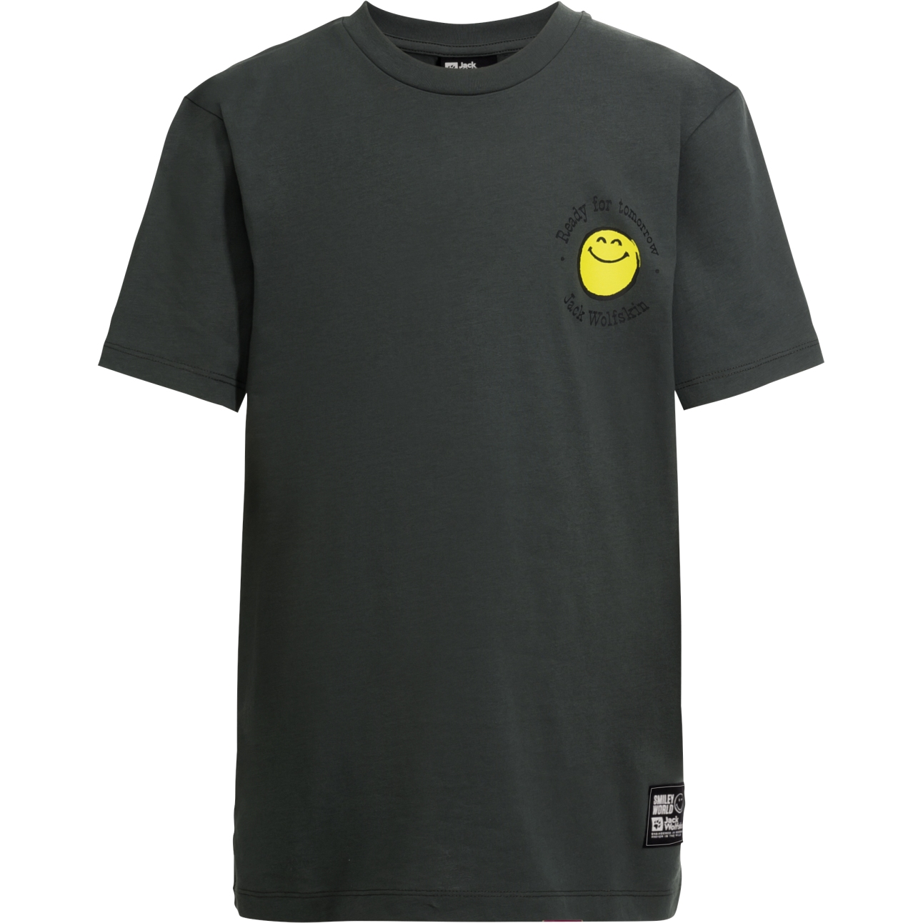 Picture of Jack Wolfskin Smileyworld T-Shirt Youth - slate green
