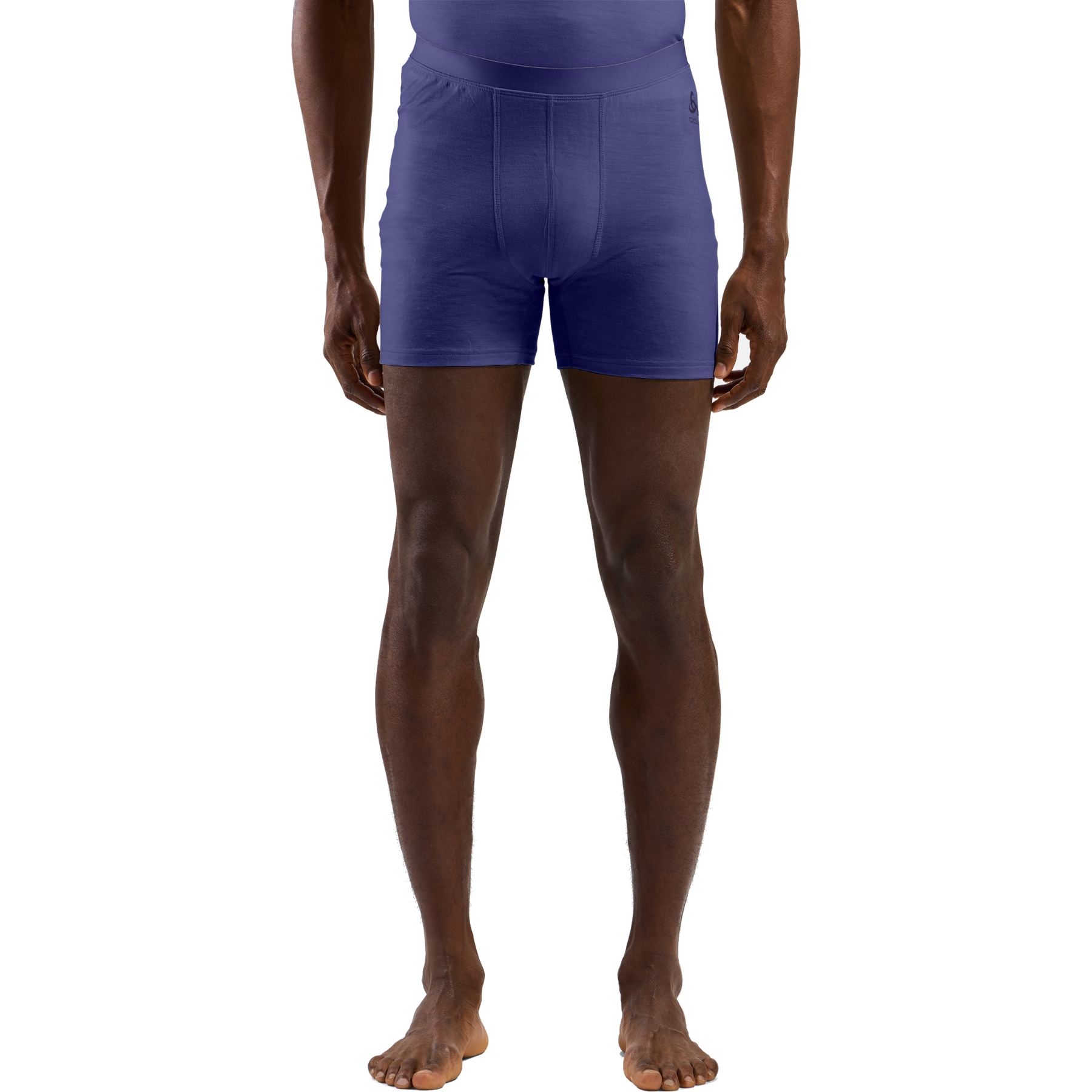 Productfoto van Odlo Natural Merino 160 Boxershort Heren - skipper blue