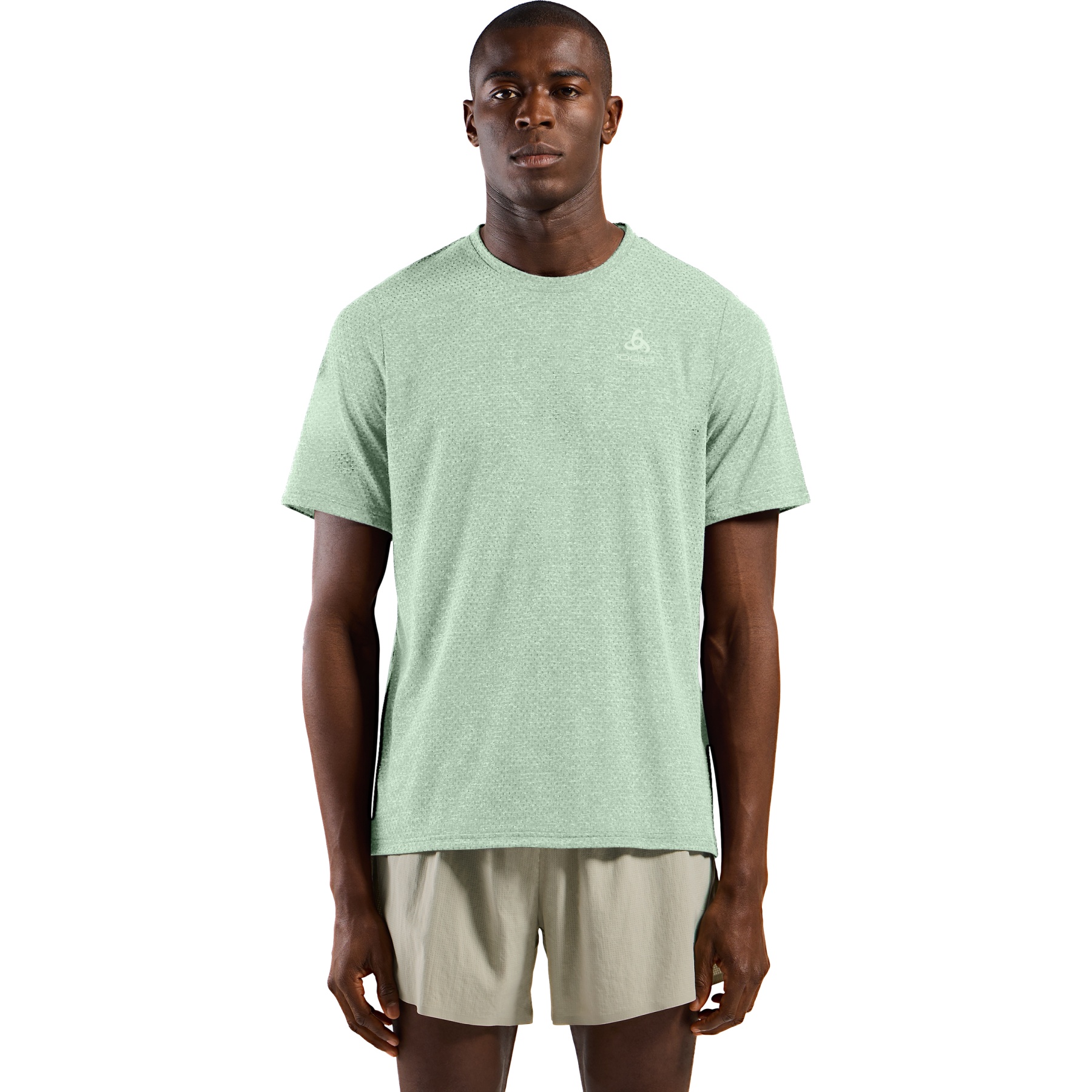 Foto van Odlo Active 365 Linencool T-Shirt Heren - ambrosia melange
