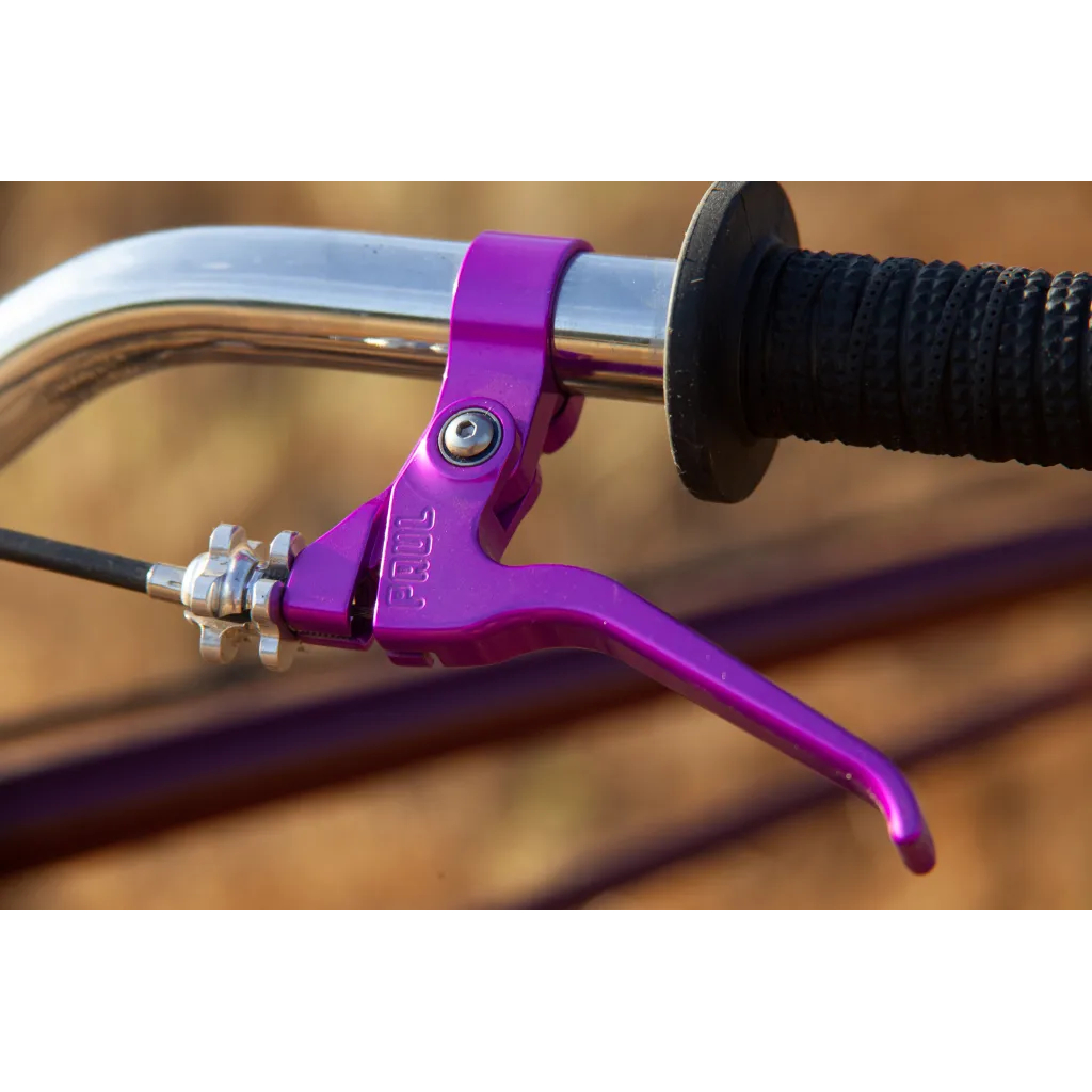 パーツ PAUL* duplex lever (purple) パーツ PAUL* duplex lever (purple) PAUL* duplex lever