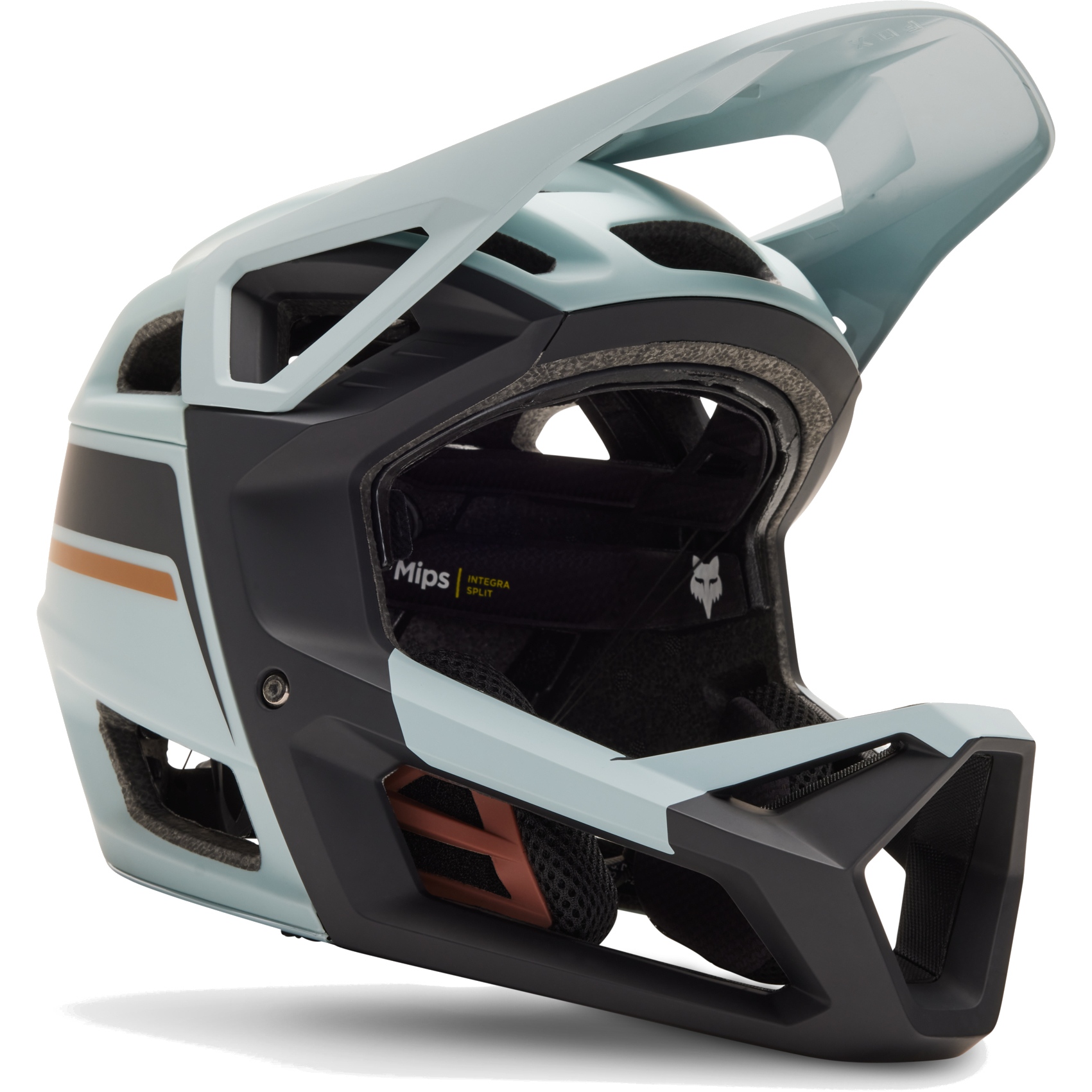 Picture of FOX Proframe RS Fullface Helmet - Racik - gunmetal