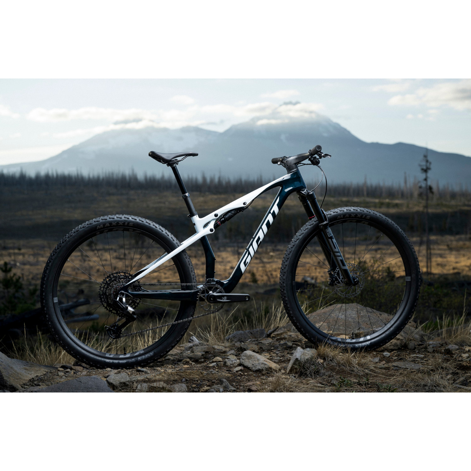 Giant ANTHEM ADVANCED SL 2 - 29