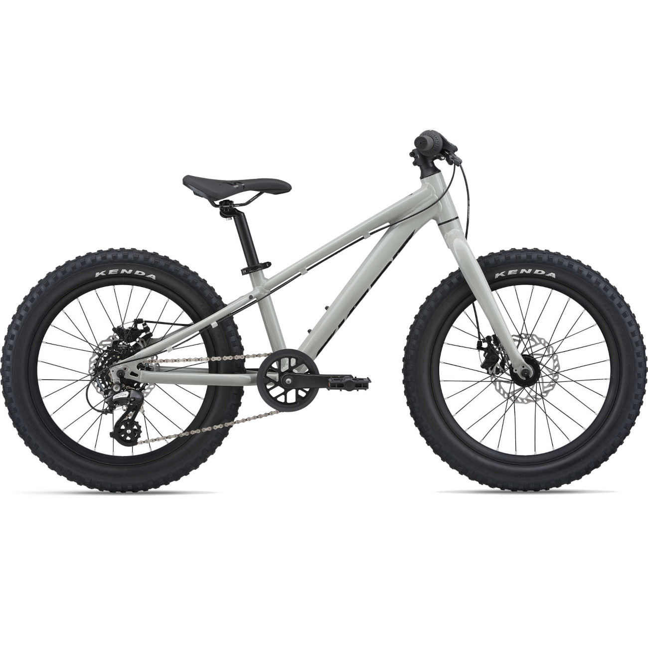 Picture of Giant STP 20&quot; Kids Mountainbike - 2024 - concrete
