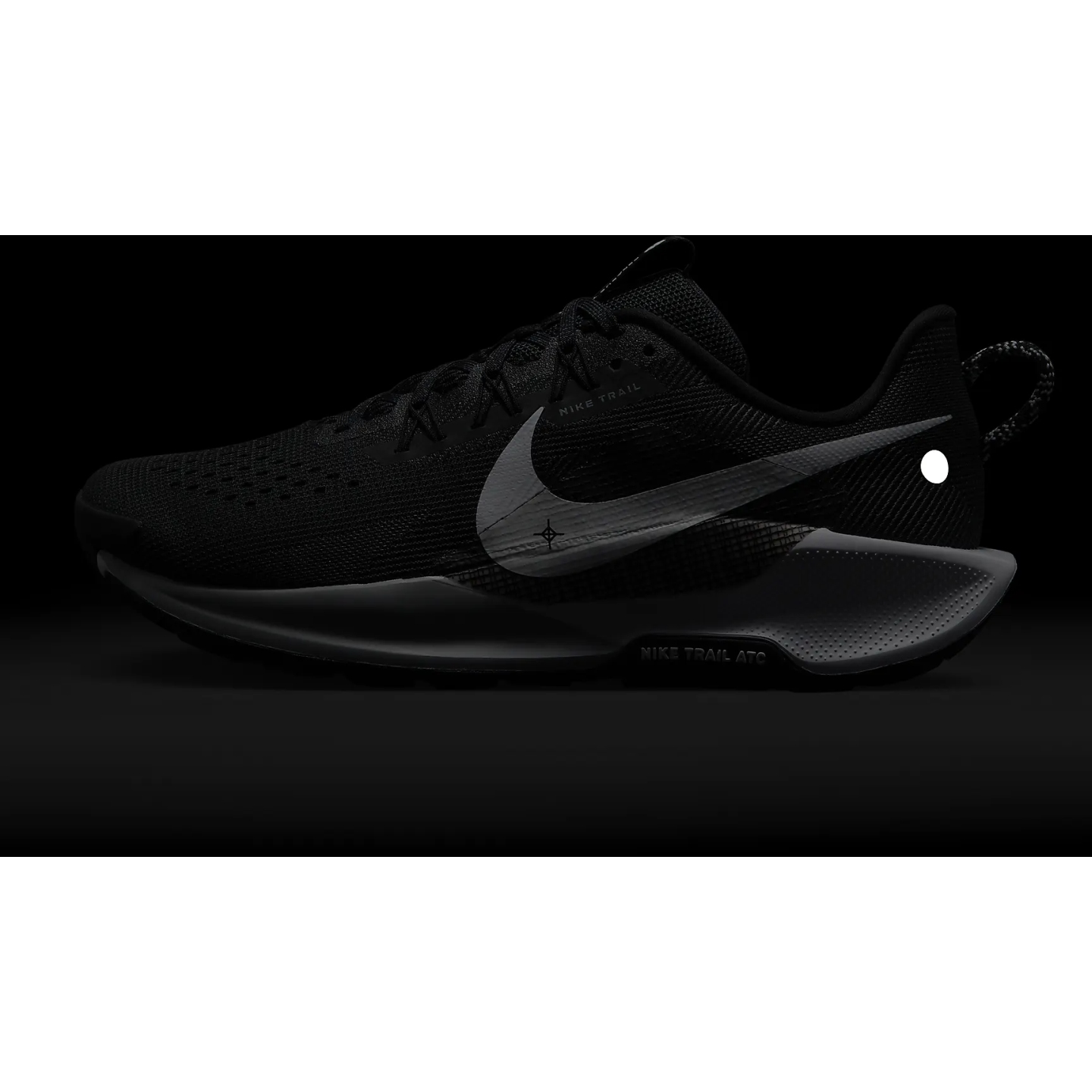 Nike Pegasus Trail 5 Trailrunningschuhe Herren black white anthracite wolf grey DV3864 001