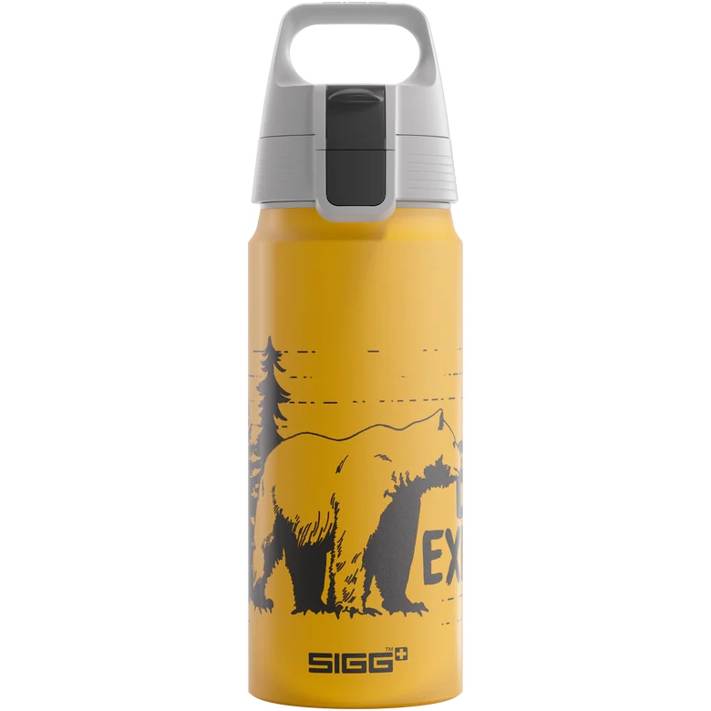 Picture of SIGG WMB ONE Kids Water Bottle 0.6L - Brave Bear