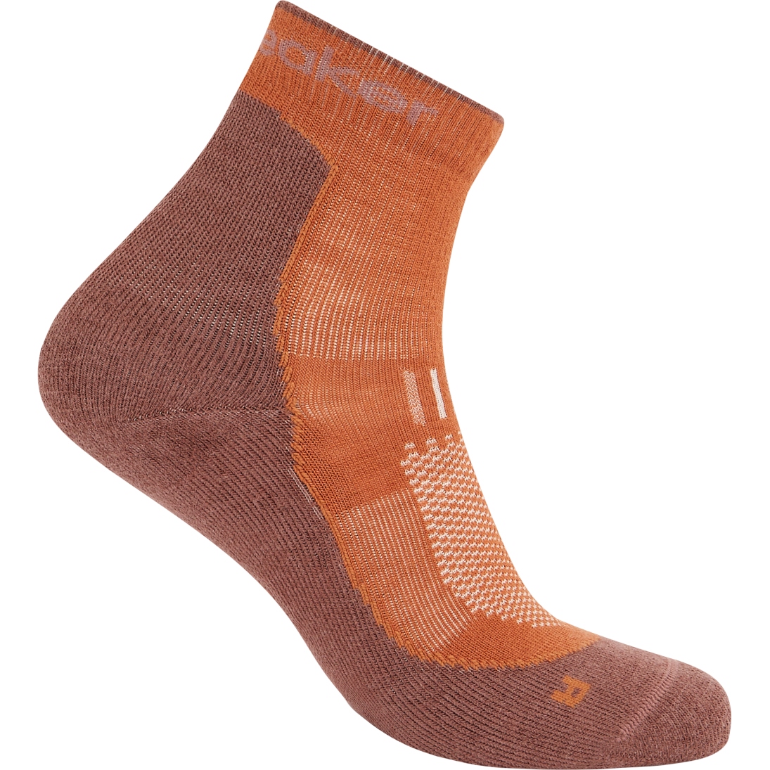Immagine prodotto da Icebreaker Calze Uomo - Merino Hike+ Light Mini - Dusty Clay/Carob