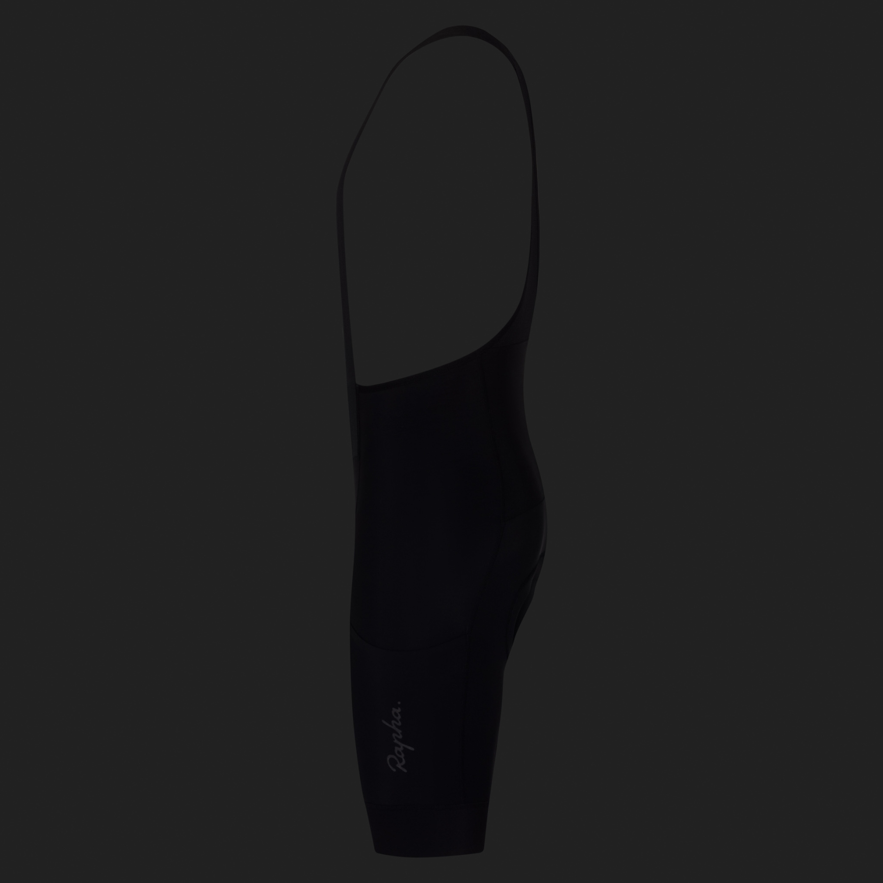 Rapha Brevet E. Bib Shorts Men - black/black | BIKE24