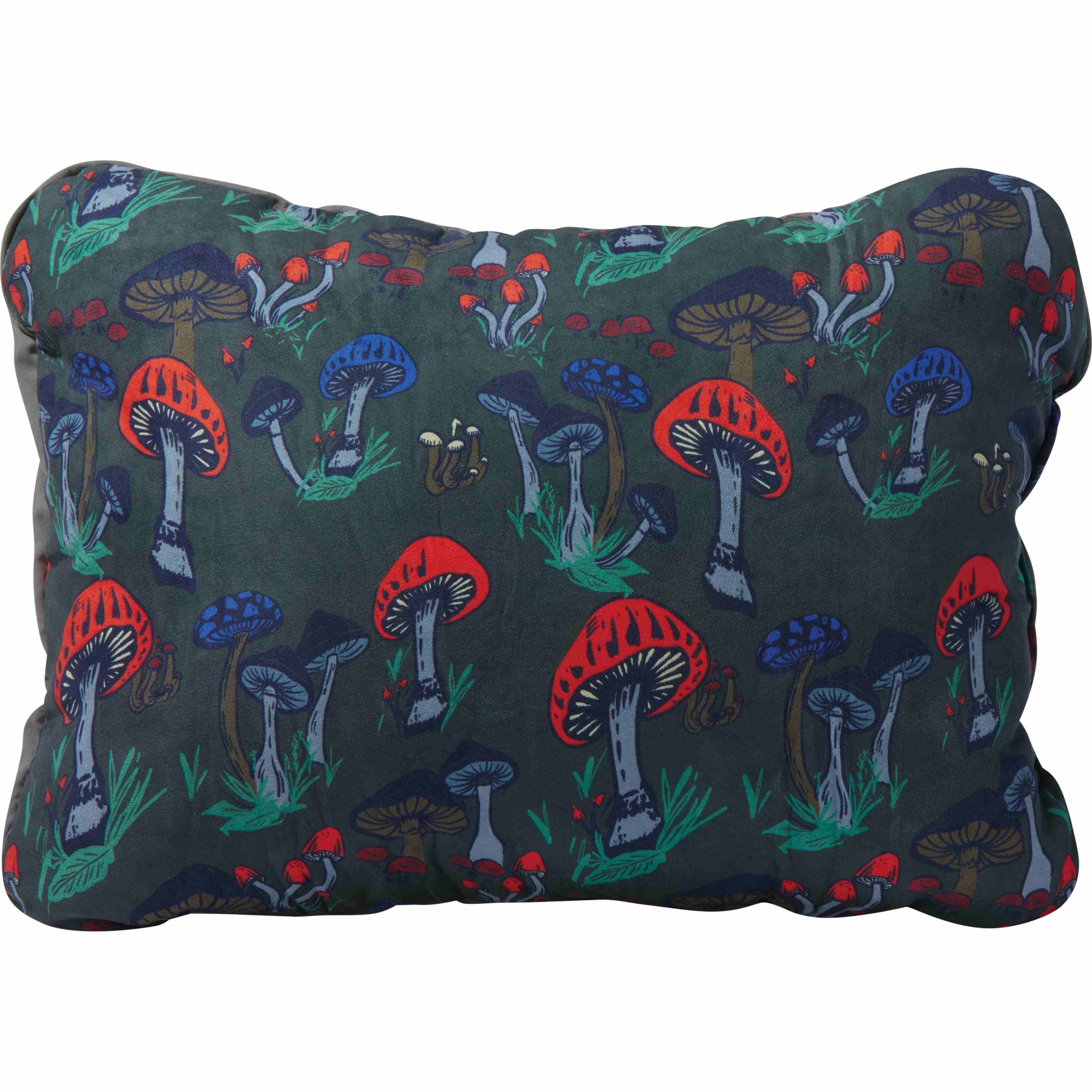 Productfoto van Therm-a-Rest Compressible Pillow Cinch - Hoofdkussen - Fun Guy Print L