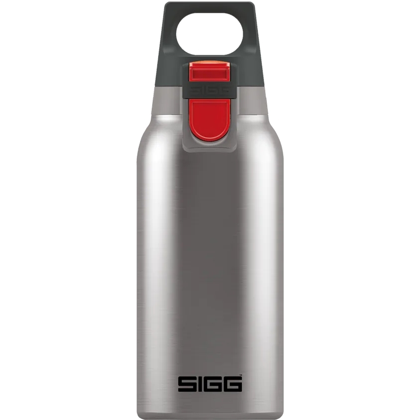 Productfoto van SIGG Hot &amp; Cold ONE Thermo Flask - Isoleerfles - 0.3 L - Brushed