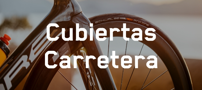 Bicicleta de carretera con cubiertas Schwalbe