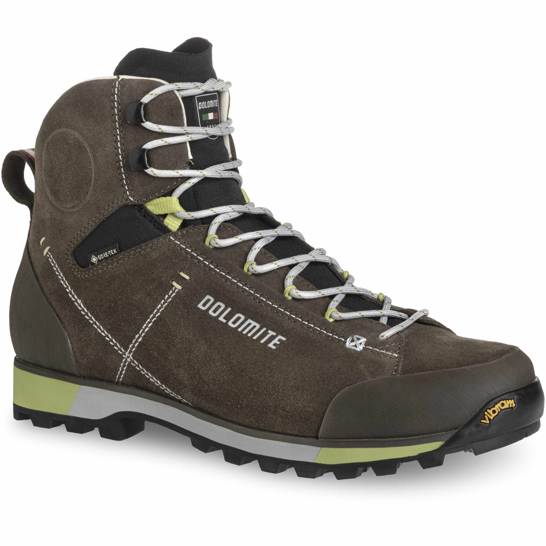 Productfoto van Dolomite 54 Hike Evo GTX Schoenen Heren - mud green/green