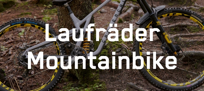 Mavic - Mountainbike Laufräder