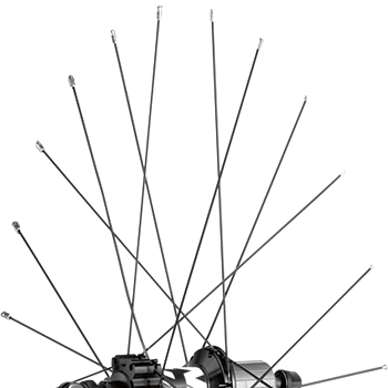 Produktbild von Mavic Speichen 296mm für Crossone 29&quot; 2014 Vorder-/Hinterräder - Nicht-Antriebsseite (12 Stück) - 36690301 - schwarz