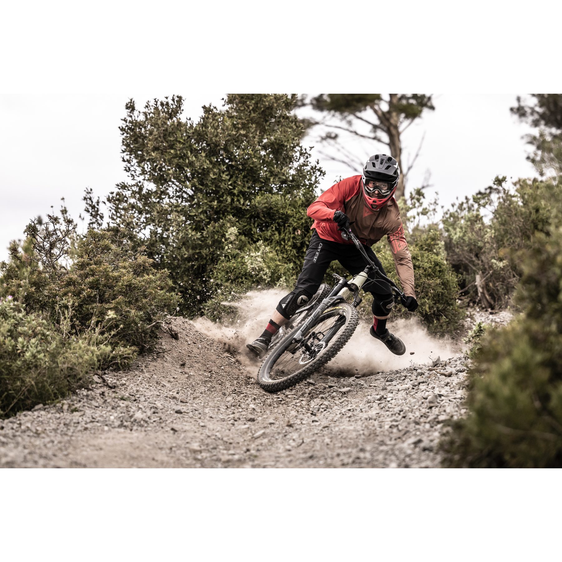 Dainese HgROX Shorts Men black BIKE24