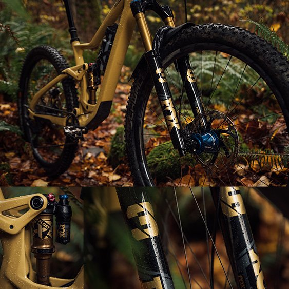 Kit 12 Autocollants Vinyle Pour Jantes VTT Specialized - Fabriqué En Italie - Glossy