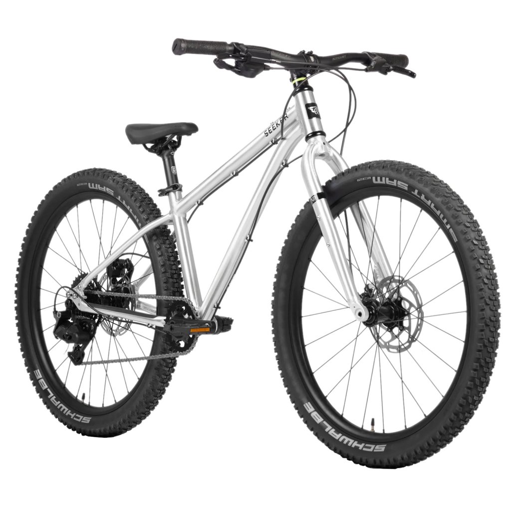 Paire De Roues Vélo Enfant Alexrims DM24 20 Pouces, Argent, Frein Sur Jante