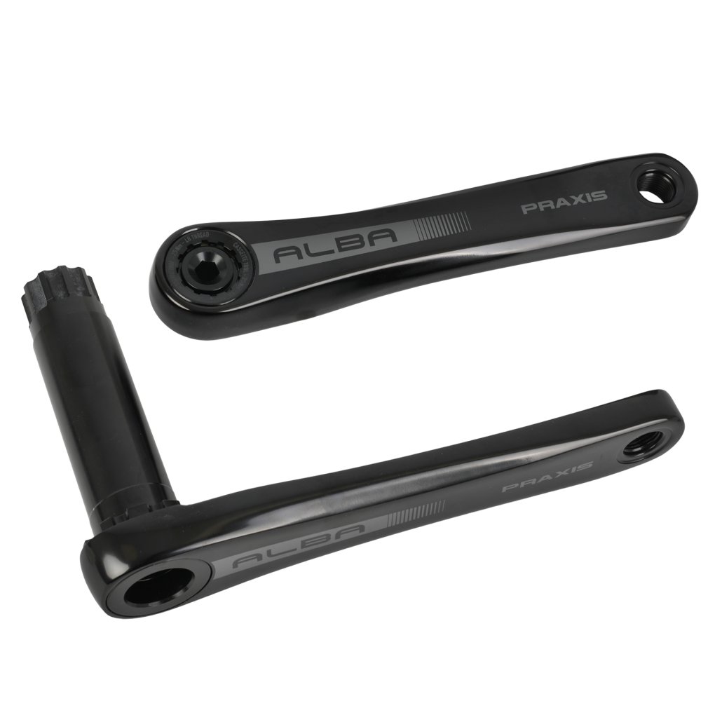 praxis-works-alba-x-m30-