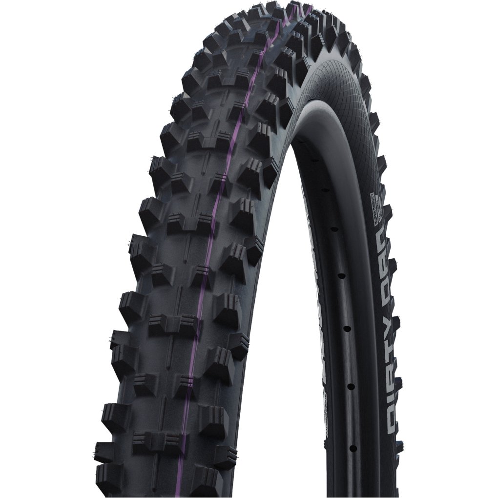 Schwalbe Dirty Dan Folding Tire Evolution Addix Ultra Soft - Main Image