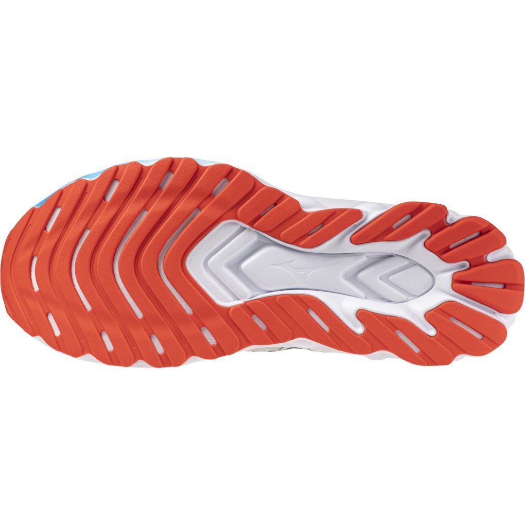 Mizuno Wave Skyrise Running Shoes Men Nimbus Cloud/Black