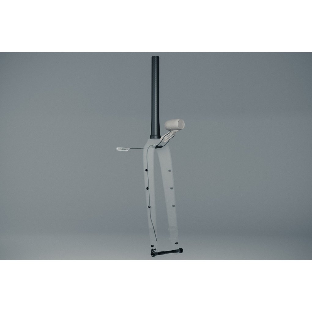 Sour Bicycles Business Carbon Fork - Tapered | Flat Mount